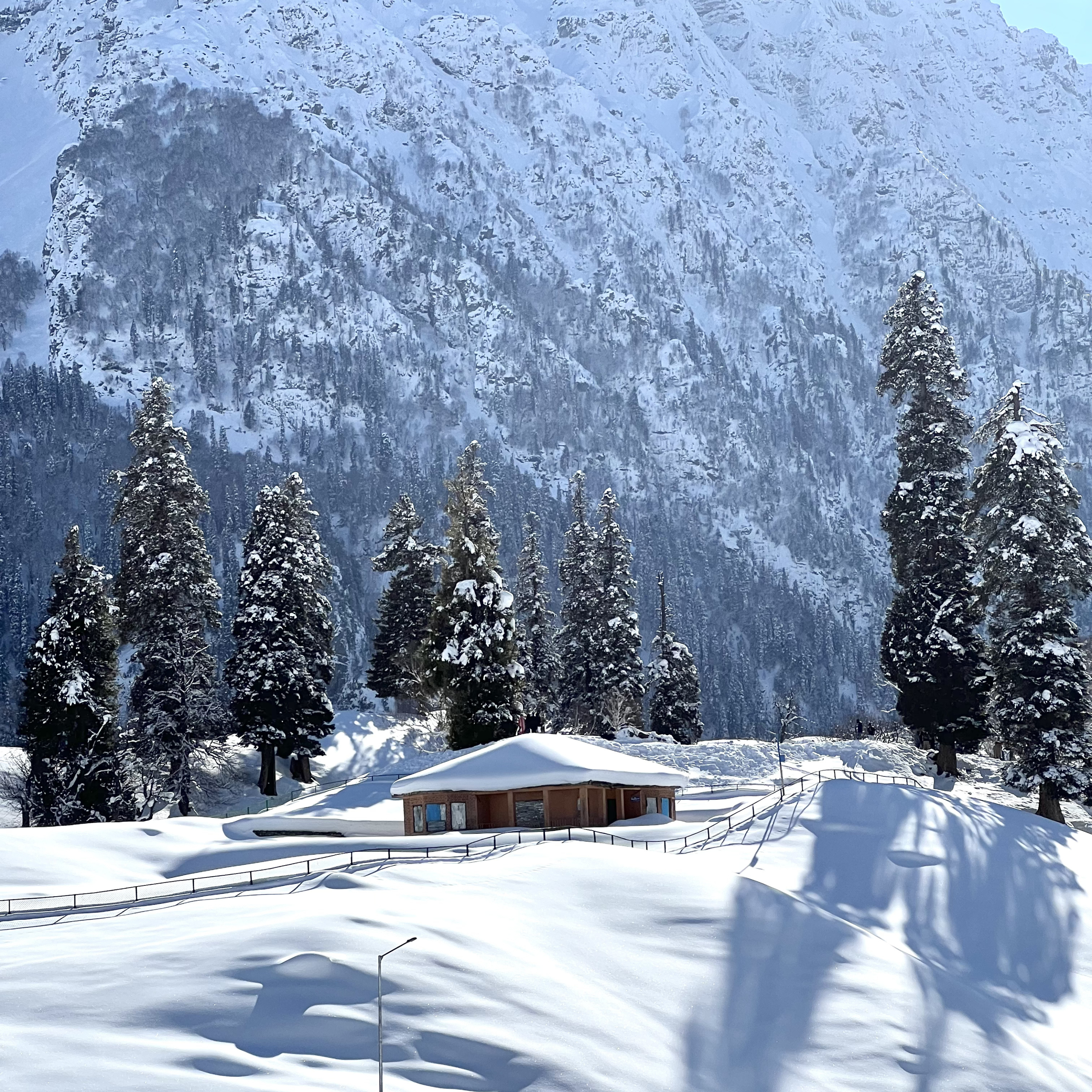 kashmir